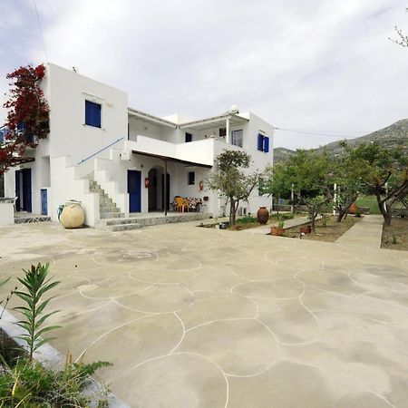 Aegean Harmony Lägenhet Platis Gialos  Exteriör bild