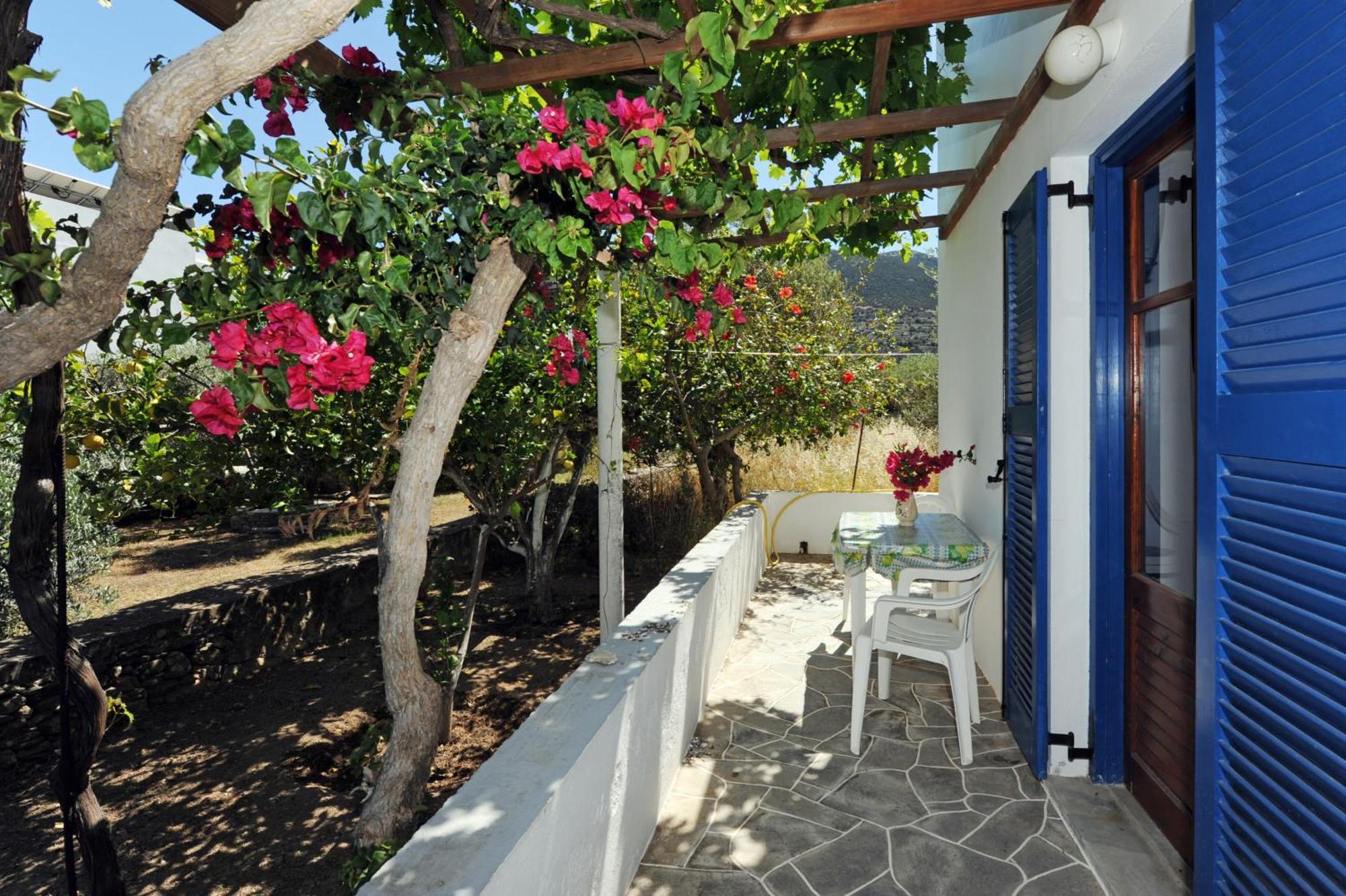 Aegean Harmony Lägenhet Platis Gialos  Exteriör bild