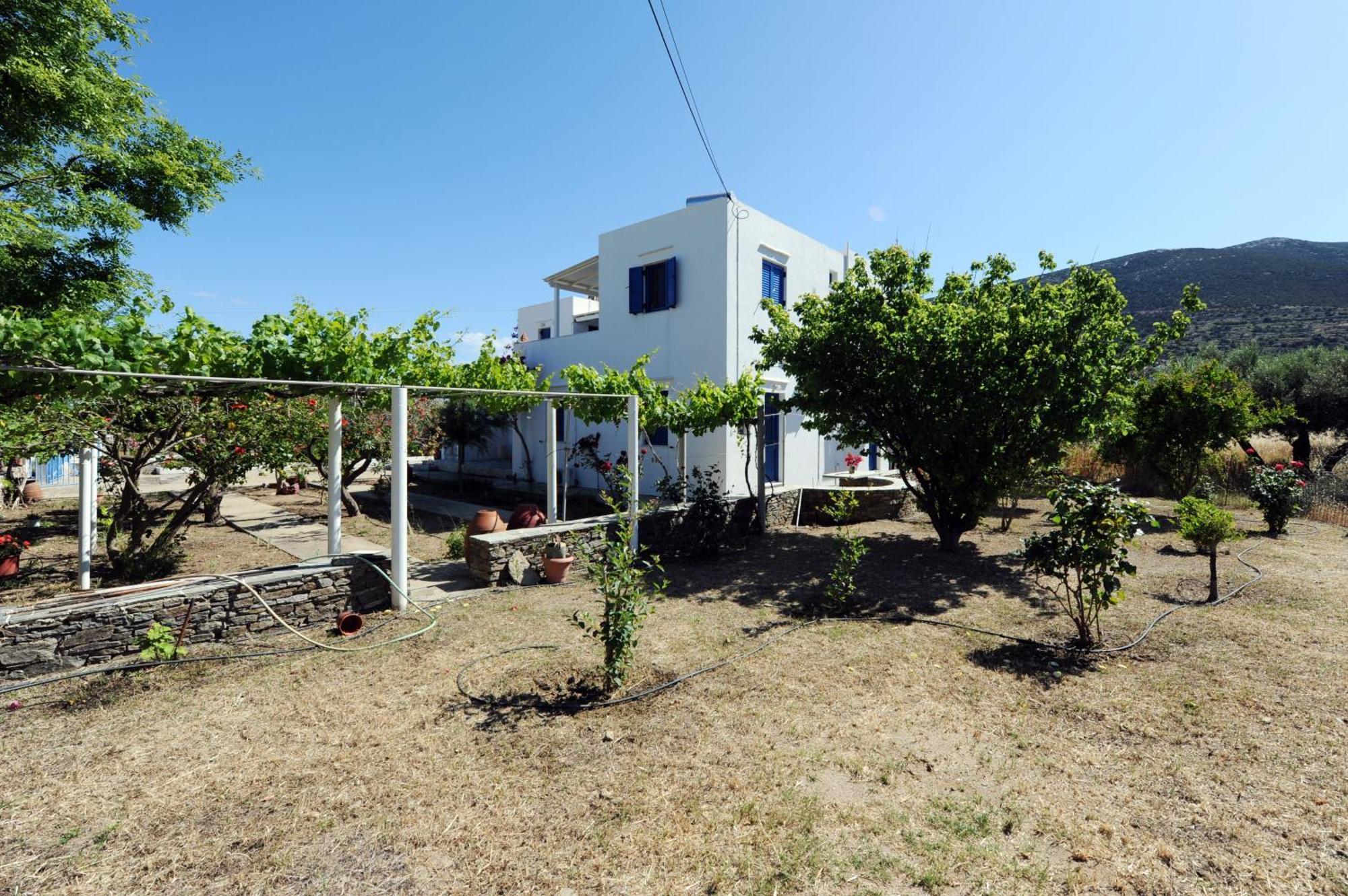 Aegean Harmony Lägenhet Platis Gialos  Exteriör bild